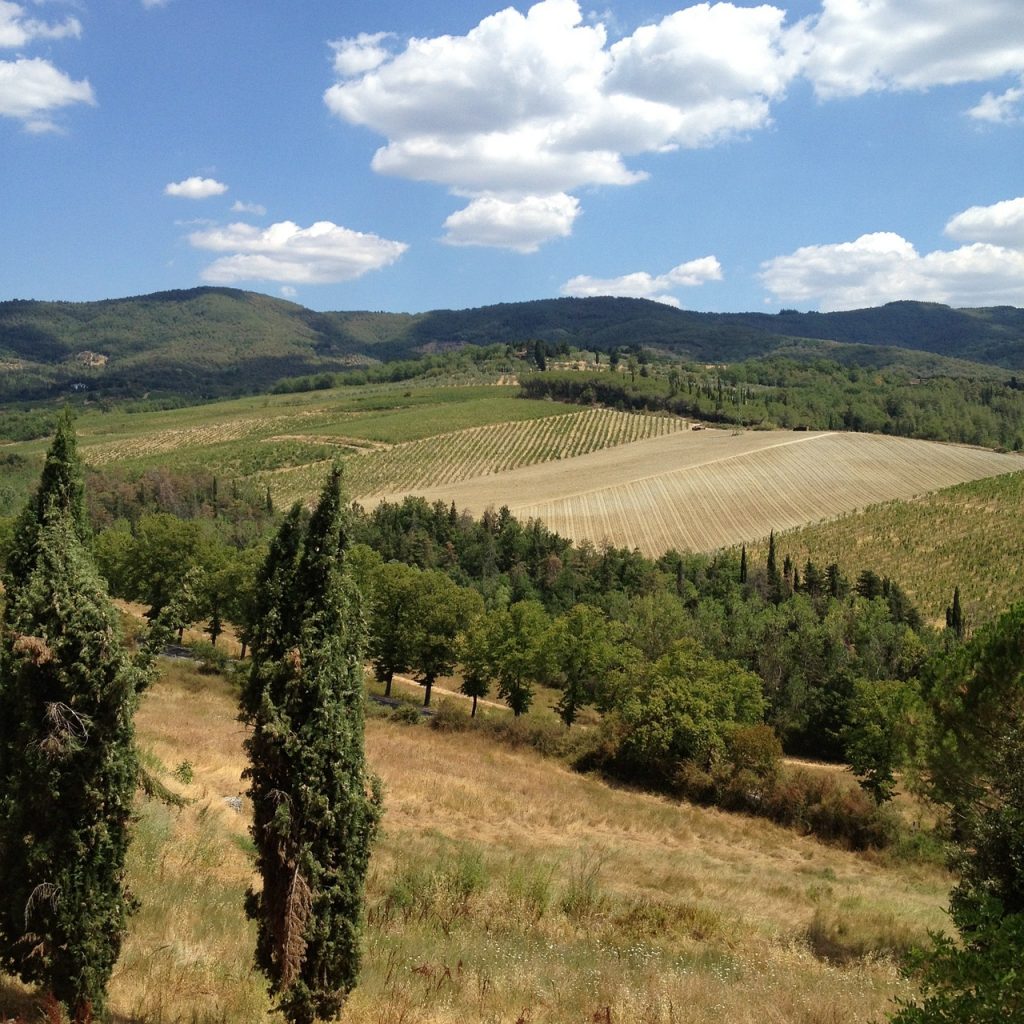 tuscany, field, landscape, countryside, italian, italy, europe, tuscan, agriculture, rural, farm, vineyard, scenic, idyllic, scenery, farmland, picturesque, winery, land, nature, peaceful, sky, clouds, hillside, country, meadow, tuscany, tuscan, tuscan, tuscan, hillside, hillside, hillside, hillside, hillside